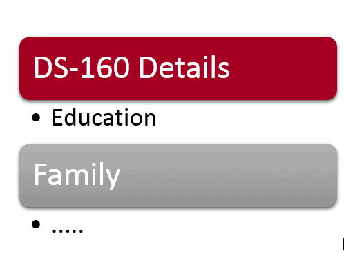 sample ds 160 form for h1b