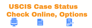 EVERYTHING about Checking USCIS Case Status Online[2023]