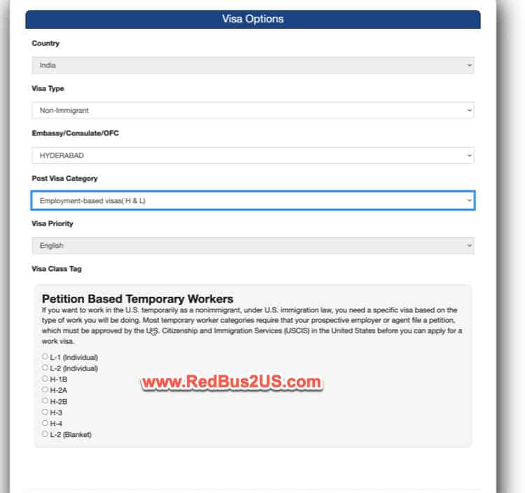 Visa Options Screen on USVisaScheduling.com Website