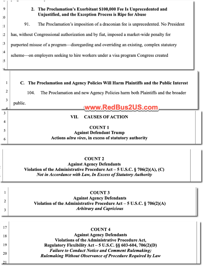 Key Argument Points in the Lawsuit